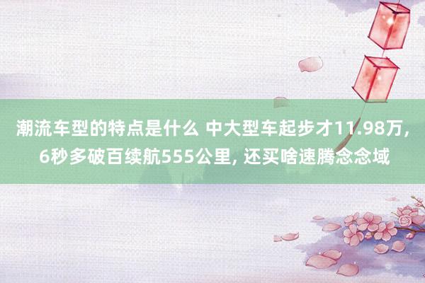 潮流车型的特点是什么 中大型车起步才11.98万, 6秒多破百续航555公里, 还买啥速腾念念域