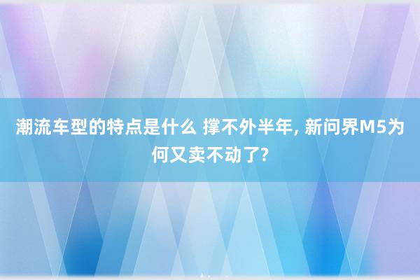 潮流车型的特点是什么 撑不外半年, 新问界M5为何又卖不动了?