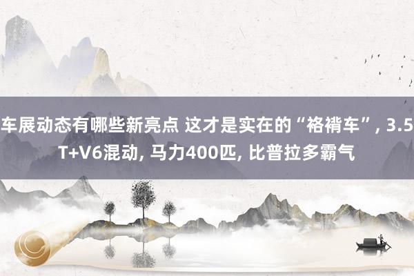 车展动态有哪些新亮点 这才是实在的“袼褙车”, 3.5T+V6混动, 马力400匹, 比普拉多霸气