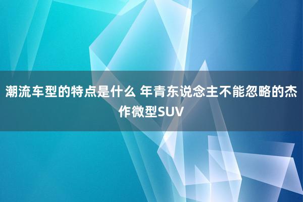 潮流车型的特点是什么 年青东说念主不能忽略的杰作微型SUV