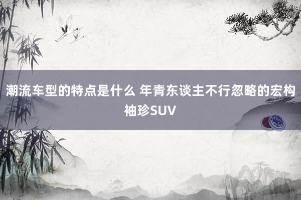 潮流车型的特点是什么 年青东谈主不行忽略的宏构袖珍SUV