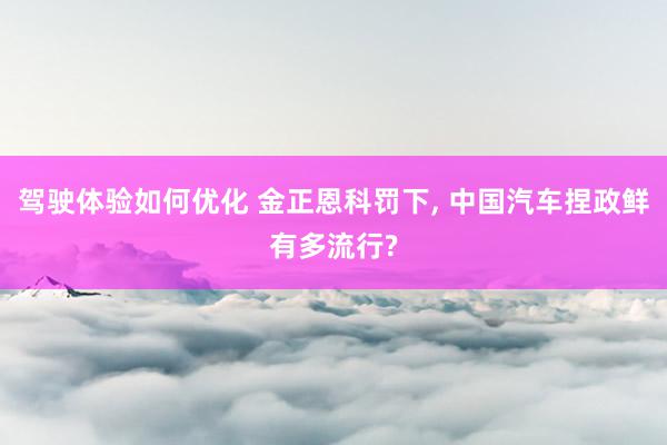 驾驶体验如何优化 金正恩科罚下, 中国汽车捏政鲜有多流行?