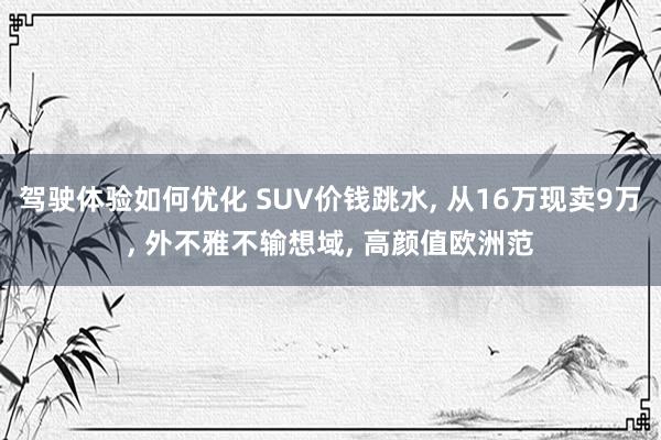 驾驶体验如何优化 SUV价钱跳水, 从16万现卖9万, 外不雅不输想域, 高颜值欧洲范