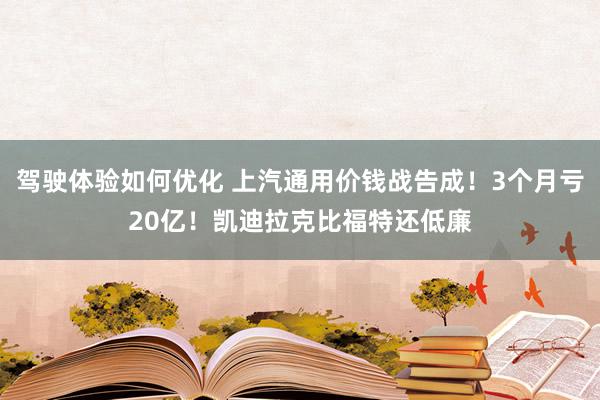 驾驶体验如何优化 上汽通用价钱战告成！3个月亏20亿！凯迪拉克比福特还低廉