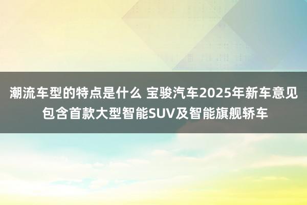 潮流车型的特点是什么 宝骏汽车2025年新车意见 包含首款大型智能SUV及智能旗舰轿车