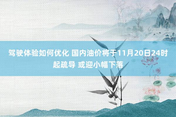 驾驶体验如何优化 国内油价将于11月20日24时起疏导 或迎小幅下落