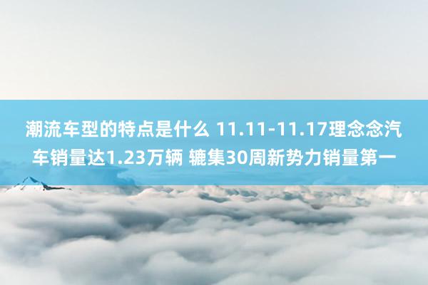 潮流车型的特点是什么 11.11-11.17理念念汽车销量达1.23万辆 辘集30周新势力销量第一