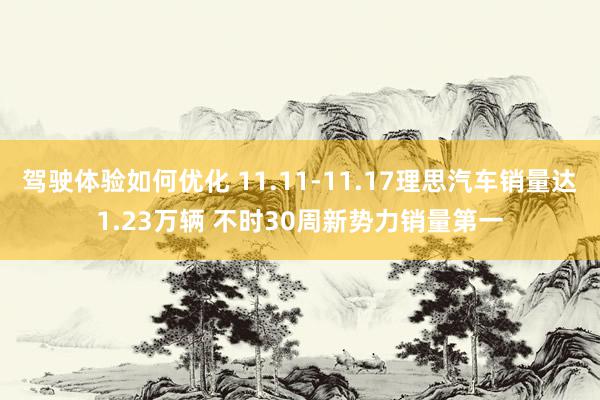 驾驶体验如何优化 11.11-11.17理思汽车销量达1.23万辆 不时30周新势力销量第一