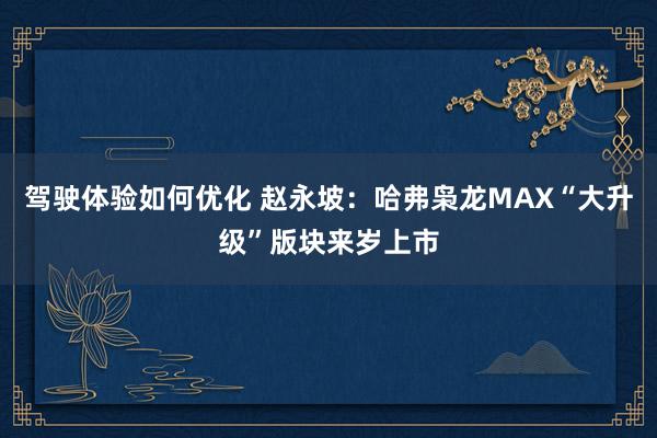 驾驶体验如何优化 赵永坡：哈弗枭龙MAX“大升级”版块来岁上市