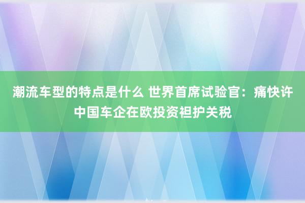 潮流车型的特点是什么 世界首席试验官：痛快许中国车企在欧投资袒护关税