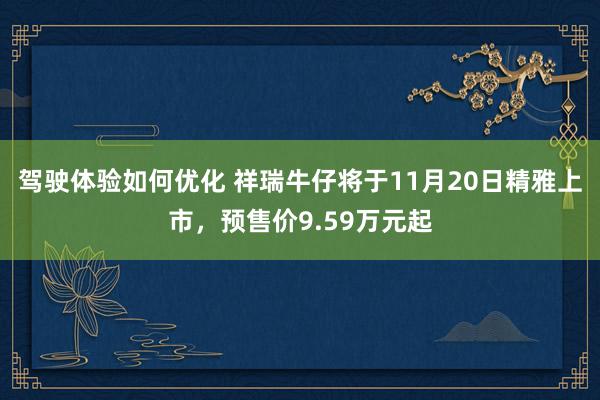 驾驶体验如何优化 祥瑞牛仔将于11月20日精雅上市，预售价9.59万元起