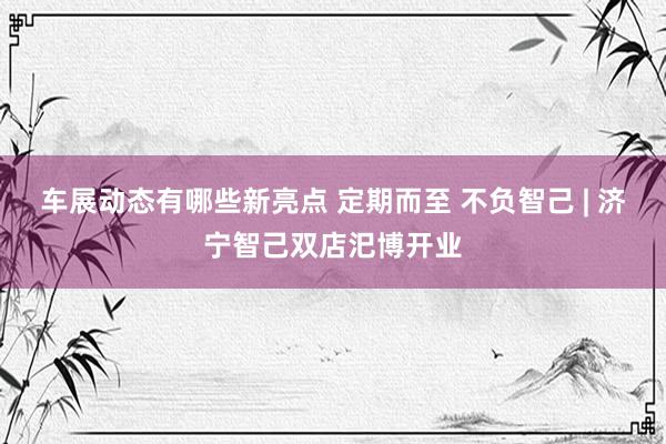 车展动态有哪些新亮点 定期而至 不负智己 | 济宁智己双店汜博开业